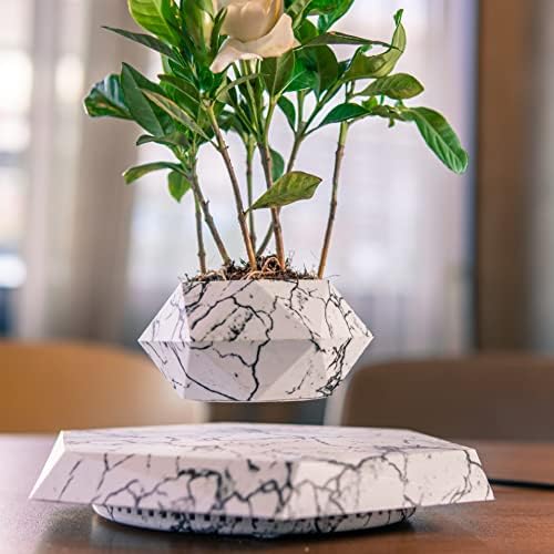 Levitating & Floating Plant Pot for Home & Office Desk Table Decor Magnetic Floating