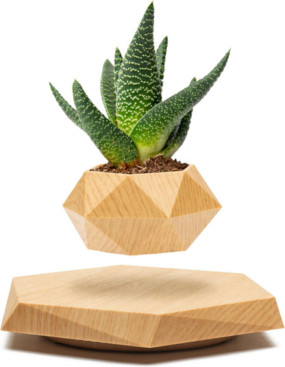 Levitating & Floating Plant Pot for Home & Office Desk Table Decor Magnetic Floating