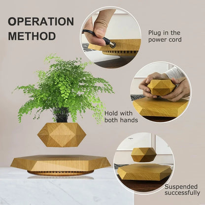 Levitating & Floating Plant Pot for Home & Office Desk Table Decor Magnetic Floating