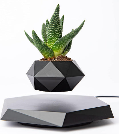 Levitating & Floating Plant Pot for Home & Office Desk Table Decor Magnetic Floating